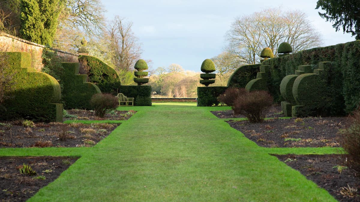 Landscaping services