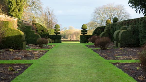 Landscaping services